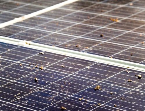 Average Solar Panel Maintenance Cost in Sonoma County