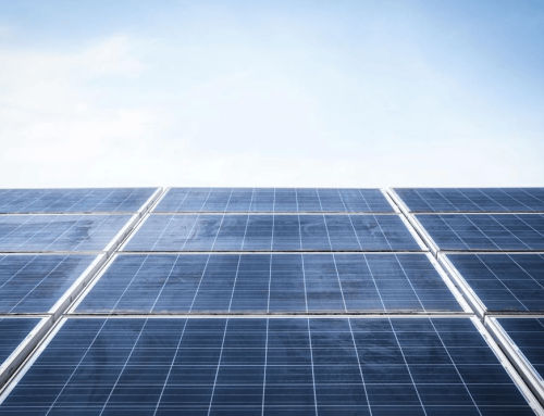 Solar Panel Lifespan: When Do Sonoma County Panels Need Replacing?